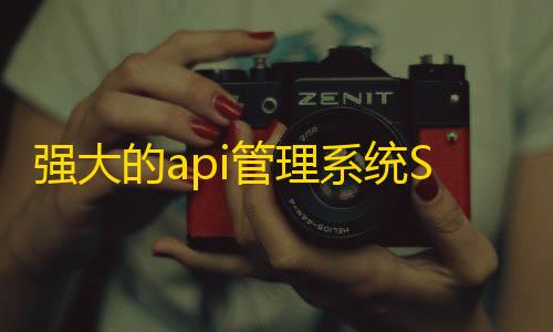 三角洲物资透视会被封吗强大的api管理系统Storm Core API_V1.1免授权源码分享